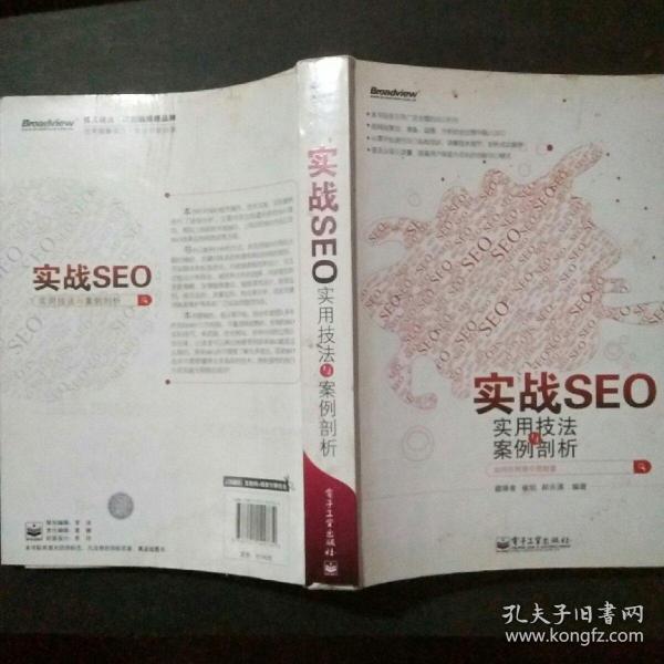 实战SEO：实用技法与案例剖析