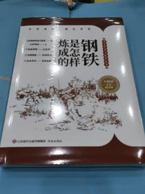 钢铁是怎样炼成的