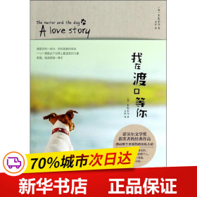 保正版！我在渡口等你9787201086491天津人民出版社卡夫卡
