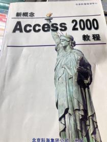 新概念 Access 2000 教程 含盘