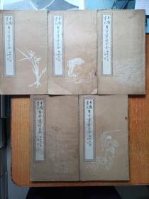 分类画范自习画谱大全 五册全 （花果鱼虫/山水树石/花鸟走兽/人物故事1/人物故事2）