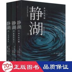 静湖（全三册，《纽约时报》榜单作家雷切尔·凯恩高能悬疑，从完美夫妻到生死仇敌，每一个沉入湖底的女孩，都只是替身）