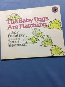 The Baby Uggs are Hatching 干净未翻阅
