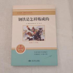 钢铁是怎样炼成的(无障碍学生精读版)