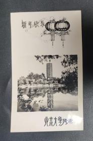 八十年代 北京大学的未名湖畔，以博雅塔为背景 北京大学风景照片 新年快乐 背面有签赠笔迹 80年代