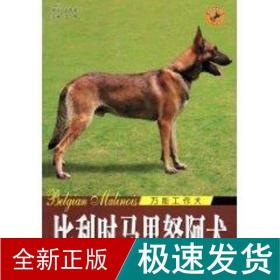 世界名犬-比利时马里努阿犬 生活休闲 王晓 新华正版