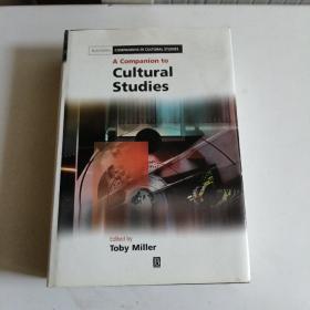 Comp Cultural Studies