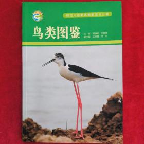 陕西大荔朝邑国家湿地公园鸟类图鉴