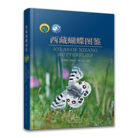 西藏蝴蝶图鉴潘朝晖河南科学技术出版社