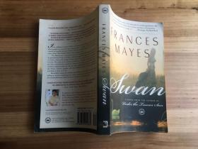 英文原版Swan（by Frances Mayes）《天鹅》