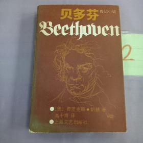 贝多芬传记小说.