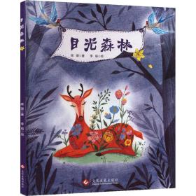 目光森林 9787514217926