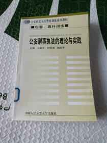 公安刑事执法的理论与实践