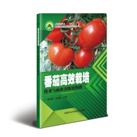 番茄高效栽培技术与病虫害治图谱 种植业 雷良辉，张福成 新华正版