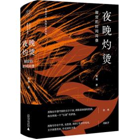 保正版！夜晚灼烫 凝定的时间肖像9787559837806广西师范大学出版社黑陶