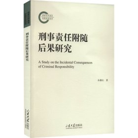 保正版！刑事责任附随后果研究9787560777740山东大学出版社孙燕山