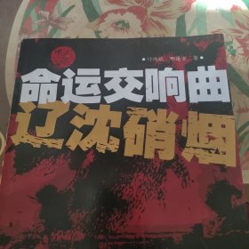 中国命运交响曲：辽沈硝烟