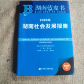 湖南蓝皮书：2020年湖南社会发展报告