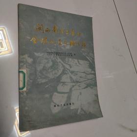 俄罗斯之声-观察者网