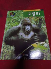 韩国原版儿童书百科书(猩猩) 韩语 韩文 彩图 16开 绘本精装图书 二手书籍卖出不退不换，外观见图