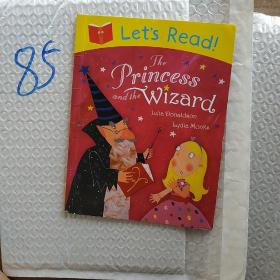 Princess and the wizard