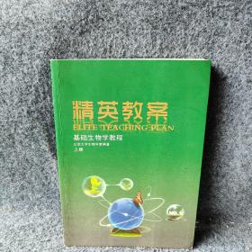 精英教案