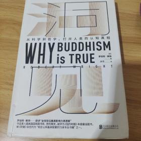 洞见（樊登博士重磅推荐