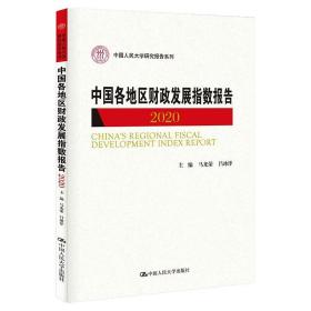 中国各地区发展指数报告2020（民大学研究报告系列） 财政金融 马光荣