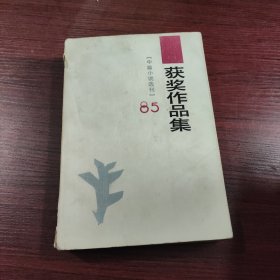 1985《中篇小说选刊》获奖作品集上册
