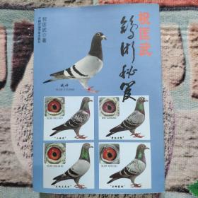 鸽术秘笈
