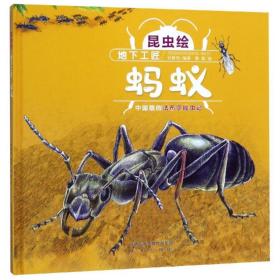 正版 地下工匠:蚂蚁(精装)/昆虫绘 付赛男 9787541767609