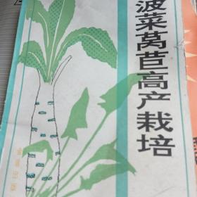 菠菜莴苣高产栽培