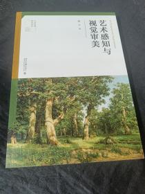 艺术感知与视觉审美