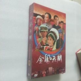 金凤花开 DVD