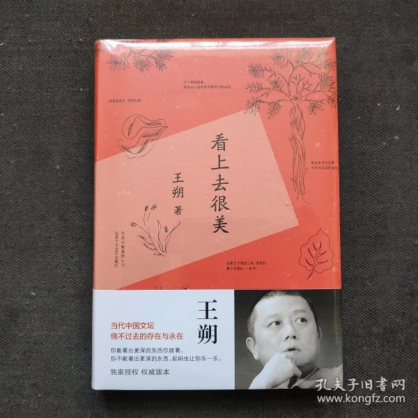 看上去很美