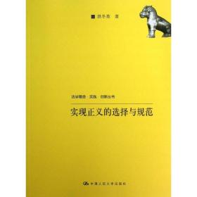 保正版！实现正义的选择与规范9787300179582中国人民大学出版社洪冬英