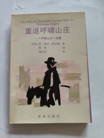 重返呼啸山庄:《呼啸山庄》续集