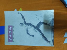 人体结构