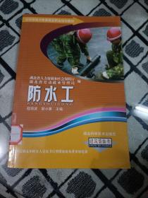 农村劳动力转移就业职业培训教材丛书：防水工（建筑装饰类）