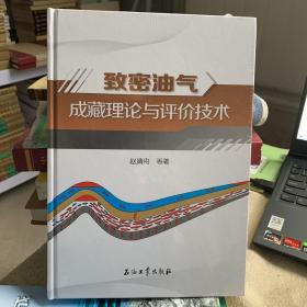 致密油氣成藏理論與評價技術