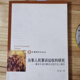 民事程序法论丛·当事人民事诉讼权利研究：兼谈中国民事诉讼现代化之路径
