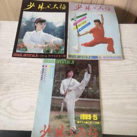 少林与太极1989－4.5.6   三本合售