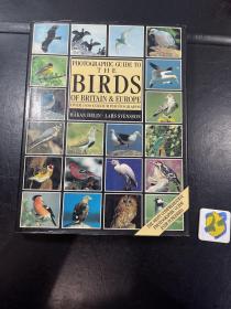Complete Birds of Britain and Europe 英國與歐洲鳥類百科--英文原版
