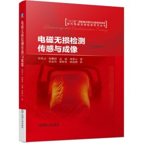 电磁无损检测传感与成像(精)/现代电磁无损检测学术丛书