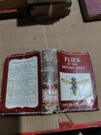 Flies of the British Isles