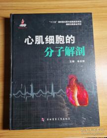 心肌细胞的分子解剖