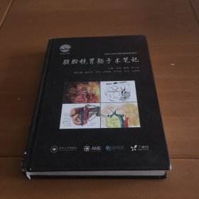 腹腔镜胃肠手术笔记 AME科研时间系列医学图书002 无光盘