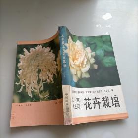 北京黄土岗花卉栽培