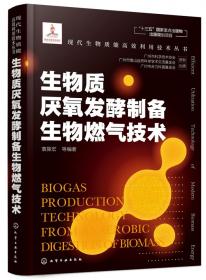 生物质厌氧发酵制备生物燃气技术(精)/现代生物质能高效利用技术丛书