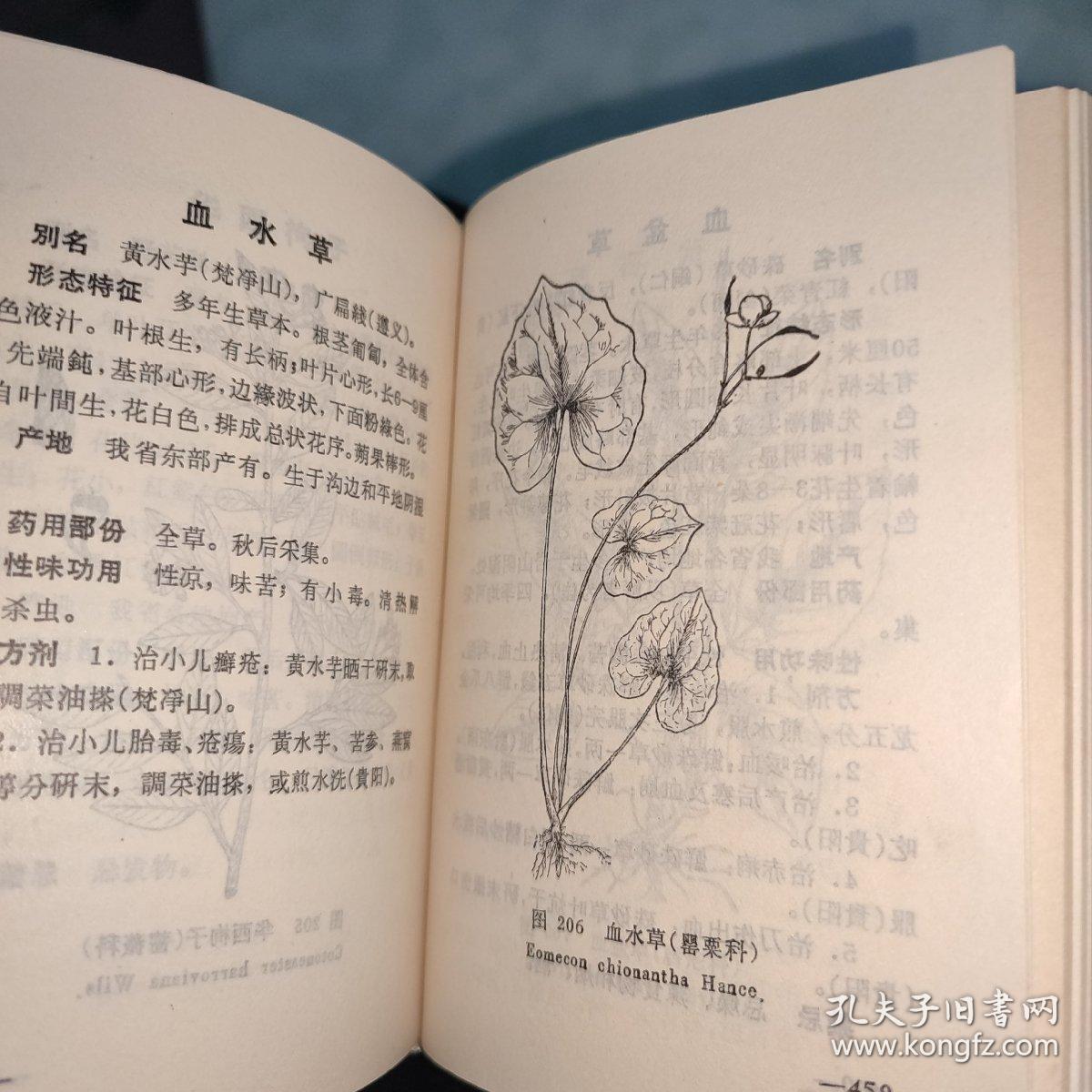 贵州草药第一集